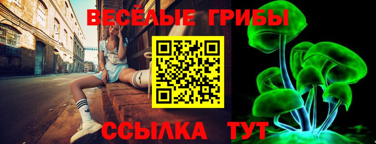 Галлюциногенные грибы мицелий Костомукша