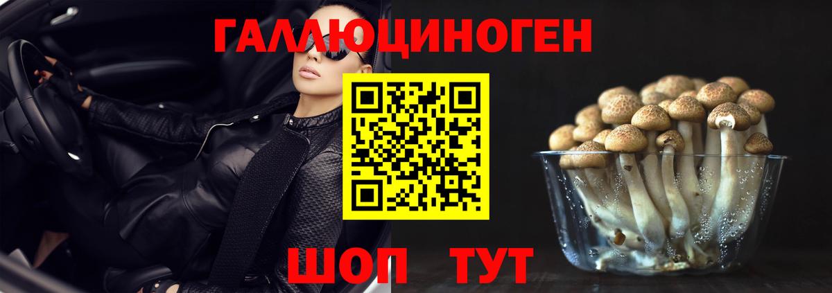 Костомукша  Псилоцибиновые грибы Psilocybe  Вход с VPN 